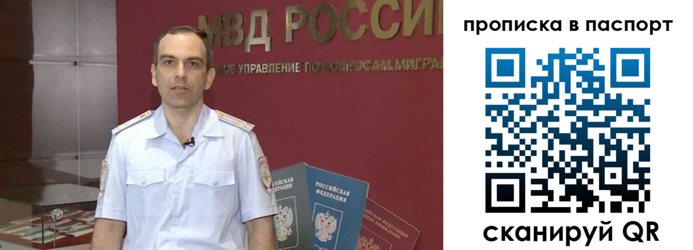 прописка поиск в Тимашёвске